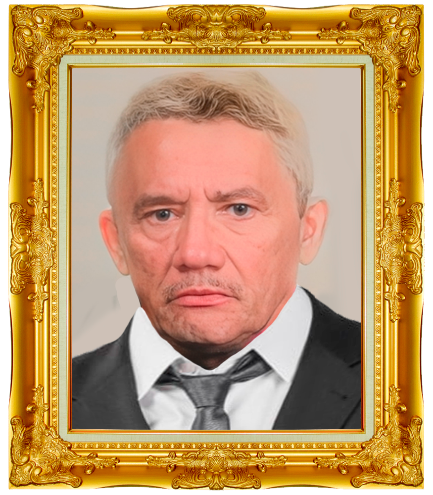 IREMAR RODRIGUES DA SILVA